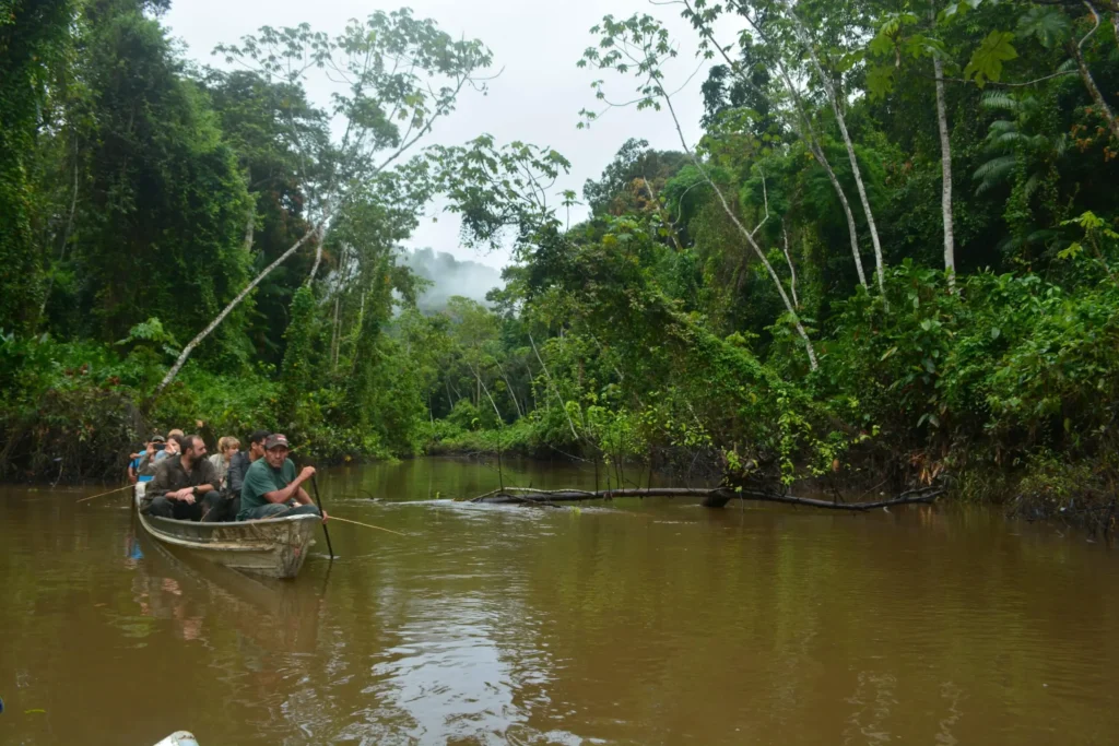 guyana jungle safari