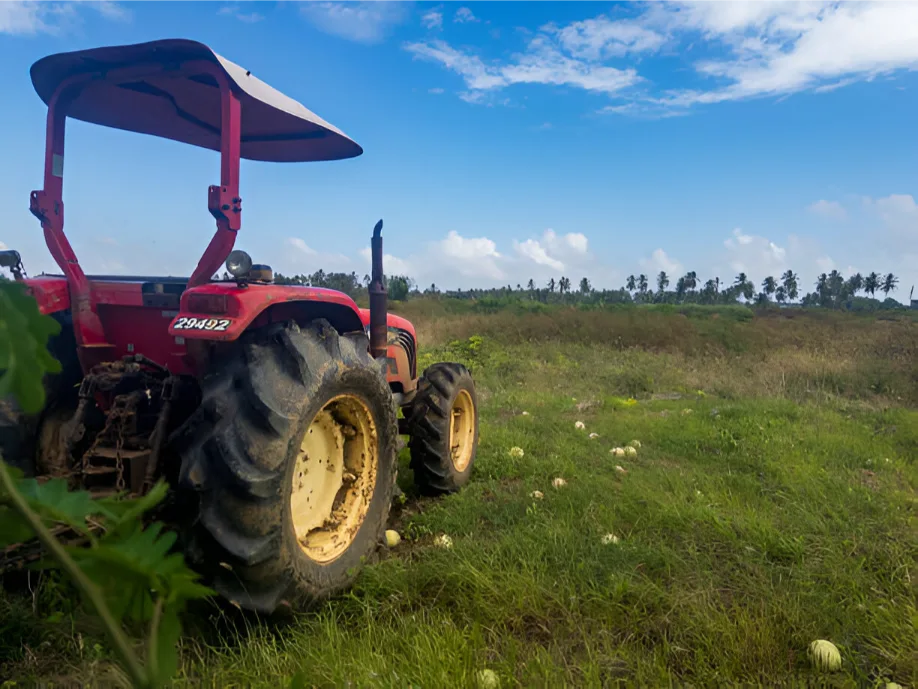 guyana agriculture