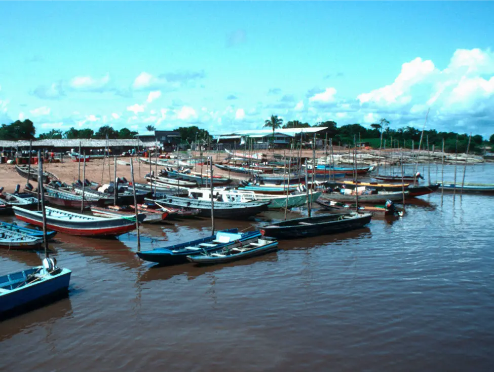 parika essequibo island guyana